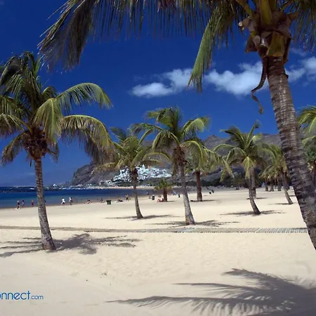 Your Paradise In *